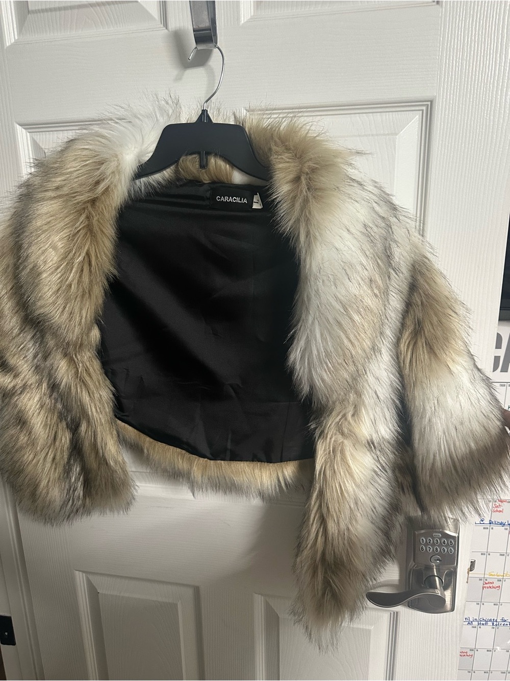 Caracilia Women's Faux Fur Cape in Natural Gray
